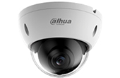 Camera IP DAHUA | Camera IP Dome 2.0 Megapixel DAHUA IPC-HDBW4239RP-ASE