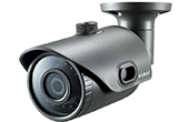 Camera IP Hanwha Vision | Camera IP hồng ngoại 2.0 Megapixel WISENET SNO-L6013RP/AJ