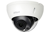 Camera IP DAHUA | Camera IP Dome hồng ngoại 8.0 Megapixel DAHUA IPC-HDBW1831RP-S