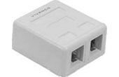 Cáp-phụ kiện VIVANCO | 2-Port Surface Box VIVANCO VCB221