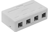 Cáp-phụ kiện VIVANCO | 4-Port Surface Box VIVANCO VCB241