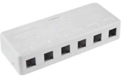 Cáp-phụ kiện VIVANCO | 6-Port Surface Box VIVANCO VCB261