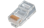 Cáp-phụ kiện HOSIWELL | Đầu nối cáp mạng RJ45 Cat.6 UTP HOSIWELL 21408