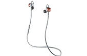 Tai nghe Poly | Tai nghe Plantronics BackBeat Go 3 (204351-08)