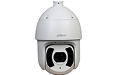 Camera IP DAHUA | Camera IP Speed Dome hồng ngoại 2.0 Megapixel DAHUA SD6CE230U-HNI