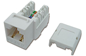 Cáp-phụ kiện Dintek | Modular Jack - Ổ cắm CAT.6A for 10GB DINTEK (1305-05008)