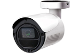 Camera AVTECH | Camera HD-TVI hồng ngoại 2.0 Megapixel AVTECH DGC1125AXTP/F36