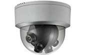 Camera IP HDPARAGON | Camera IP toàn cảnh 8.0 Megapixel HDPARAGON HDS-PA6924-IRA