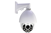 Camera IP AVTECH | Camera IP Speed Dome hồng ngoại 5.0 Megapixel AVTECH AVM5937