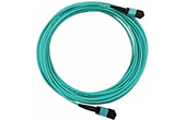 Phụ kiện quang VIVANCO | MPO-MPO Fast Termination Extension Patch Cord VIVANCO VCS908-AM3-02