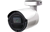 Camera IP AVTECH | Camera IP hồng ngoại 2.0 Megapixel AVTECH DGM2103SV