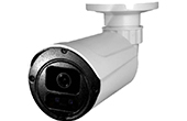 Camera IP AVTECH | Camera IP hồng ngoại không dây 2.0 Megapixel AVTECH AVN2503