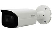 Camera IP DAHUA | Camera IP hồng ngoại 2.0 Megapixel DAHUA IPC-HFW4231TP-S-S4