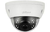 Camera IP DAHUA | Camera IP Dome hồng ngoại 2.0 Megapixel DAHUA IPC-HDBW4231EP-S-S4