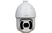 Camera IP DAHUA | Camera IP Speed Dome hồng ngoại 2.0 Megapixel DAHUA SD6CE225U-HNI