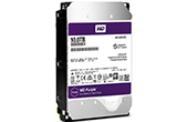 Ổ cứng HDD WESTERN | Ổ cứng chuyên dụng 10TB WESTERN PURPLE WD100PURZ