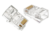 Cáp mạng GOLDEN JAPAN | Đầu bấm cáp mạng RJ45 GOLDEN JAPAN UTP CAT.5E