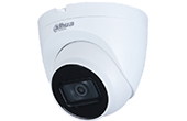 Camera IP DAHUA | Camera IP Dome hồng ngoại 2.0 Megapixel DAHUA IPC-HDW2230TP-AS-S2