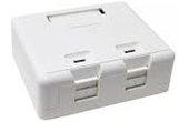 Cáp-phụ kiện LS | 2-Port Surface Mount Box LS-SMB-2PORT