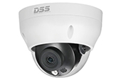 Camera IP DAHUA | Camera IP Dome hồng ngoại 2.0 Megapixel DAHUA DS2230RDIP-S2