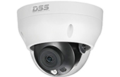 Camera IP DAHUA | Camera IP Dome hồng ngoại 4.0 Megapixel DAHUA DS2431RDIP-S2