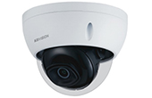 Camera IP KBVISION | Camera IP Dome hồng ngoại 2.0 Megapixel KBVISION KH-CN2002