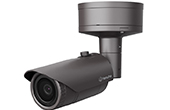 Camera IP Hanwha Vision | Camera IP hồng ngoại 5.0 Megapixel Hanwha Vision XNO-8040R