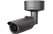 Camera IP Hanwha Vision | Camera IP hồng ngoại 2.0 Megapixel Hanwha Vision XNO-6020R