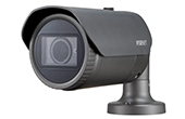 Camera IP Hanwha Vision | Camera IP hồng ngoại 2.0 Megapixel Hanwha Techwin WISENET XNO-L6080R/VAP