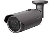 Camera IP Hanwha Vision | Camera IP hồng ngoại 5.0 Megapixel Hanwha Vision QNO-8080R