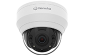 Camera IP Hanwha Vision | Camera IP Dome hồng ngoại 5.0 Megapixel Hanwha Vision QND-8020R 