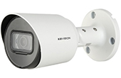 Camera KBVISION | Camera 4 in 1 hồng ngoại 2.0 Megapixel KBVISION KX-C2121SA