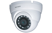 Camera IP KBVISION | Camera IP Dome hồng ngoại 4.0 Megapixel KBVISION KX-A4112N2