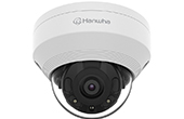 Camera IP Hanwha Vision | Camera IP Dome hồng ngoại 5.0 Megapixel Hanwha Vision QNV-8020R