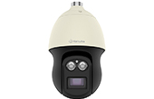 Camera IP Hanwha Vision | Camera IP Speed Dome hồng ngoại 2.0 Megapixel Hanwha Vision XNP-6250RH