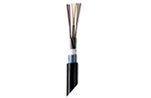 CÃ¡p máº¡ng AMP | Outdoor All-Dielectric Fiber Optic Cables 4F 50/ 125µm COMMSCOPE/AMP (Y-1427449-2)