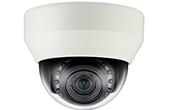 Camera IP Hanwha Vision | Camera IP Dome hồng ngoại 2.0 Megapixel Hanwha Techwin WISENET SND-6084R