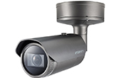 Camera IP Hanwha Vision | Camera IP hồng ngoại 8.0 Megapixel Hanwha Techwin WISENET PNO-A9081R