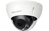 Camera IP KBVISION | Camera IP Dome hồng ngoại 2.0 Megapixel KBVISION KX-DAi2204N