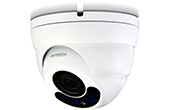 Camera IP AVTECH | Camera IP Dome hồng ngoại 5.0 Megapixel AVTECH DGM5406ASEP/F28