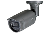 Camera IP Hanwha Vision | Camera IP hồng ngoại 2.0 Megapixel Hanwha Techwin WISENET LNO-V6010R/VAP