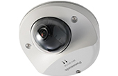 Camera IP PANASONIC | Camera IP Dome 2 Megapixel PANASONIC WV-SFV130M