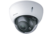 Camera IP KBVISION | Camera IP Dome hồng ngoại 2.0 Megapixel KBVISION KX-D2002MN