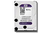 Ổ cứng HDD WESTERN | Ổ cứng chuyên dụng 10TB WESTERN PURPLE WD102PURZ