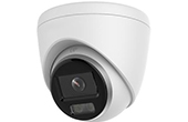 Camera IP HILOOK | Camera IP Dome COLORVU LITE 2.0 Megapixel HILOOK IPC-T229H