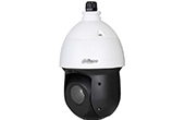 Camera IP DAHUA | Camera IP Speed Dome hồng ngoại 4.0 Megapixel DAHUA DH-SD49425XB-HNR