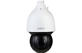 Camera IP DAHUA | Camera IP Speed Dome hồng ngoại 2.0 Megapixel DAHUA DH-SD5A225XA-HNR