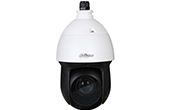 Camera DAHUA | Camera HDCVI Speed Dome hồng ngoại 2.0 Megapixel DAHUA DH-SD49225-HC-LA