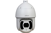 Camera IP DAHUA | Camera IP Speed Dome hồng ngoại 4.0 Megapixel DAHUA DH-SD6CE445XA-HNR