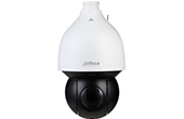 Camera IP KBVISION | Camera IP Speed Dome hồng ngoại 2.0 Megapixel KBVISION KX-DAi2008PN